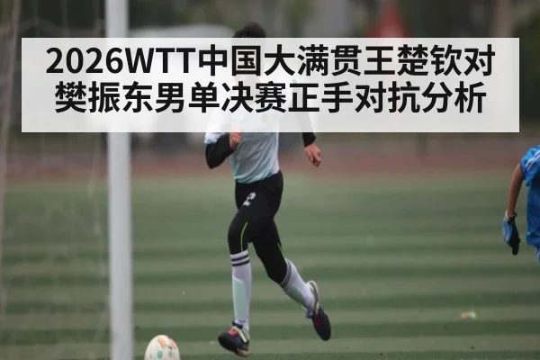 2026WTT中国大满贯王楚钦对樊振东男单决赛正手对抗分析